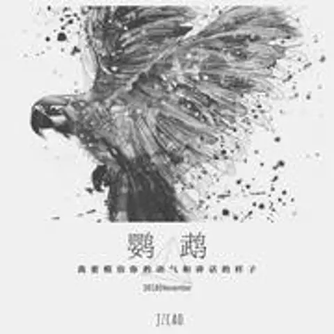 鹦鹉 - 趣弹音乐