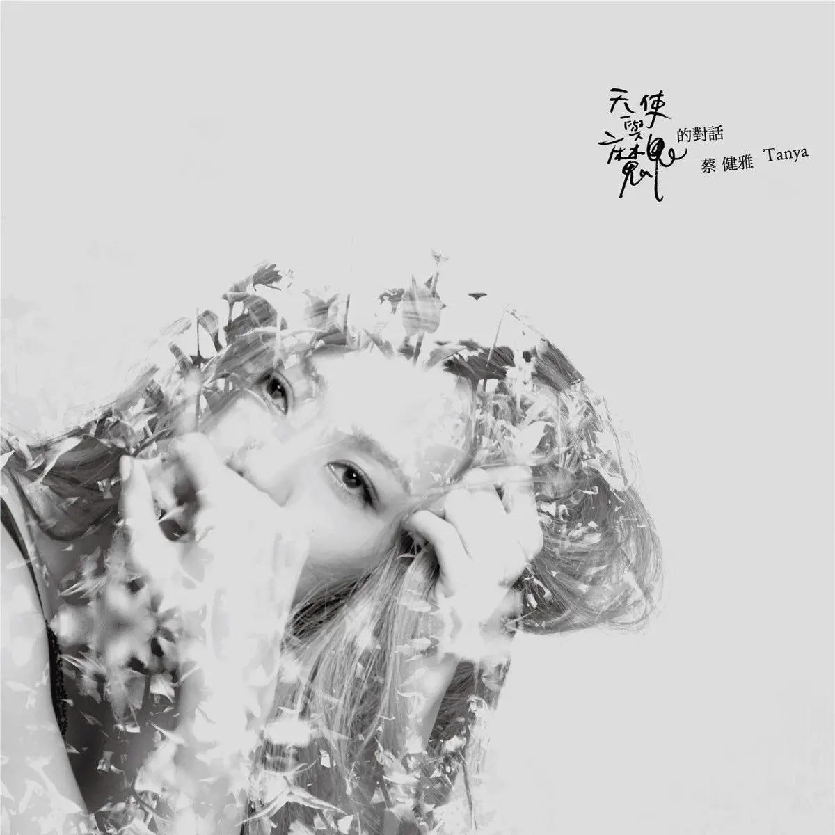 被驯服的象 - 白熊音乐