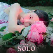 SOLO - 趣弹音乐