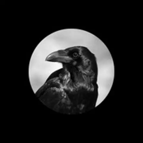 心如止水 - 趣弹音乐
