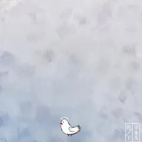 鸽子 - 趣弹音乐
