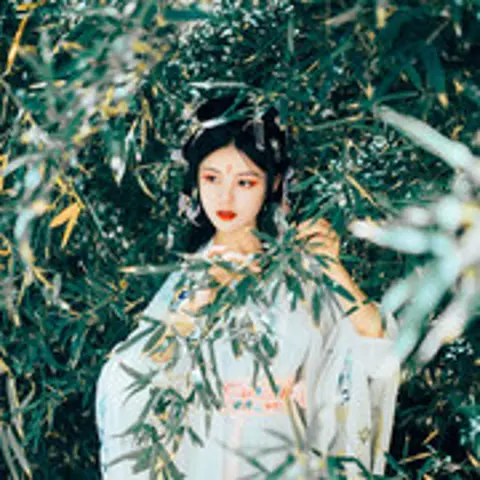 长安忆 - 趣弹音乐
