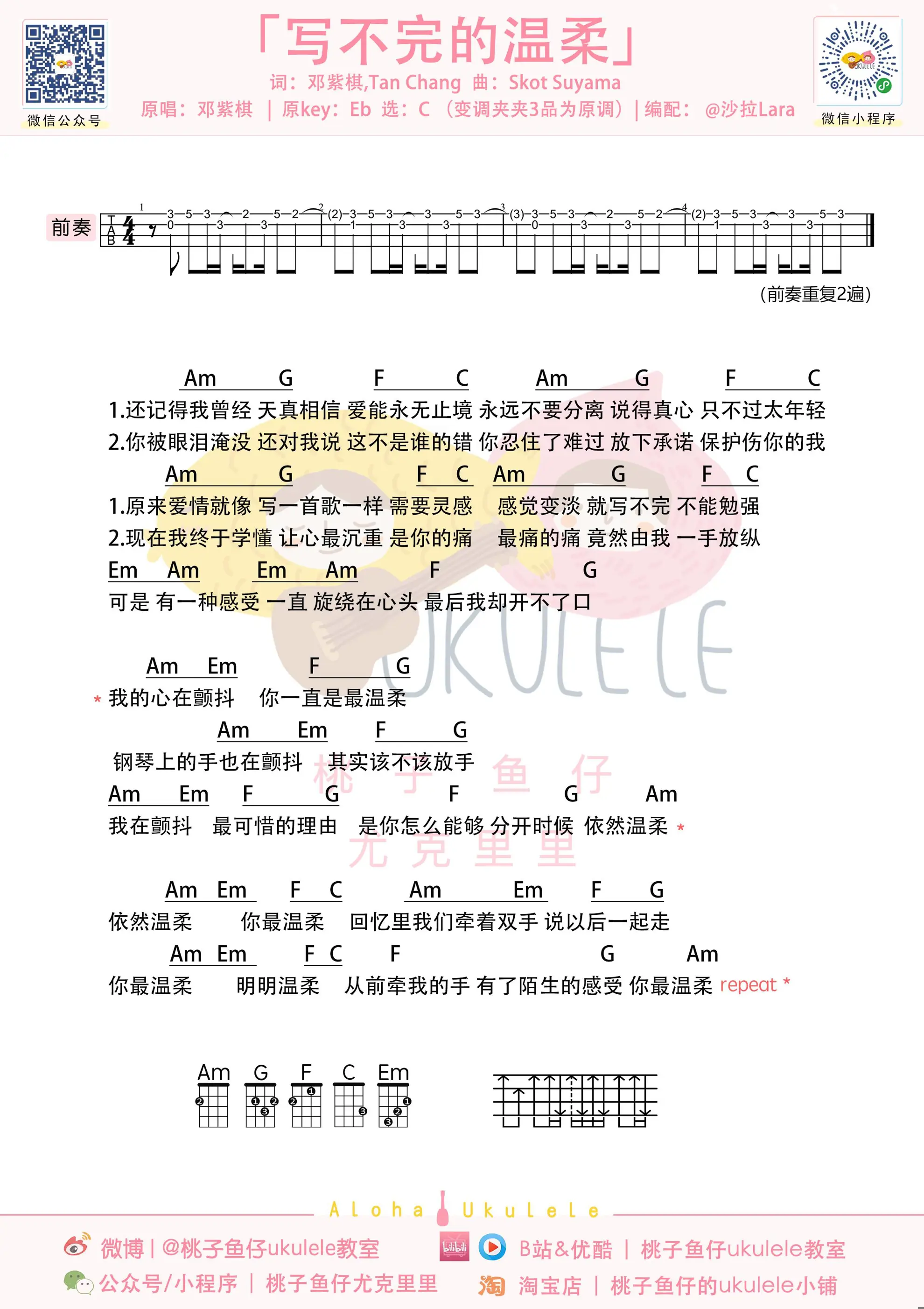 邓紫棋-写不完的温柔.jpg