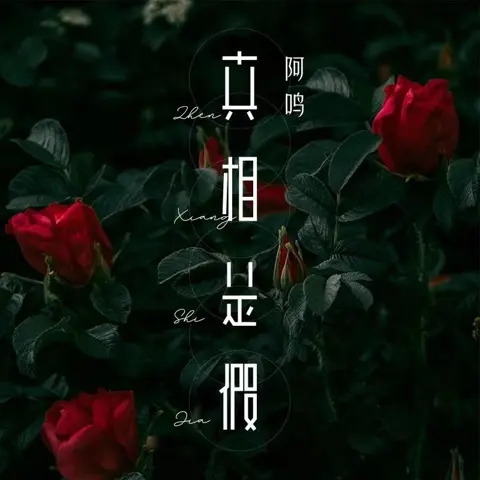 真相是假 - 桃子鱼仔ukulele