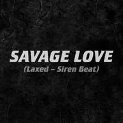 Savage Love - 趣弹音乐