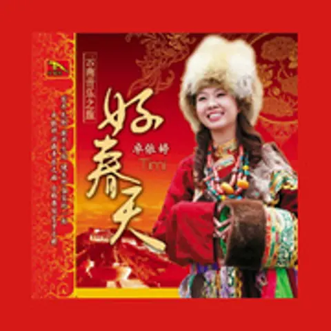 迎春花 - 趣弹音乐