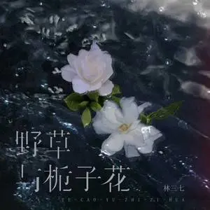 野草与栀子花 - 桃子鱼仔ukulele