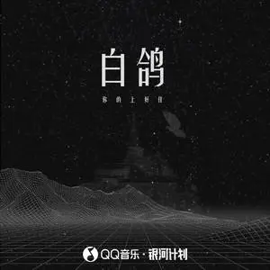 白鸽 - 白熊音乐