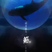 化身孤岛的鲸 - 趣弹音乐