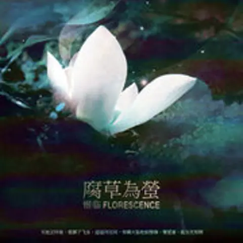 泸沽寻梦 - 趣弹音乐