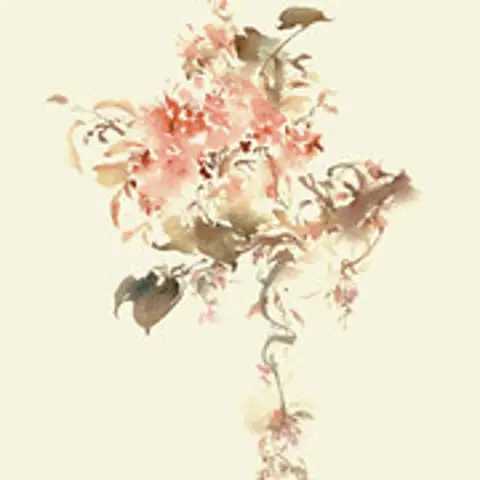 花枝春野 - 趣弹音乐