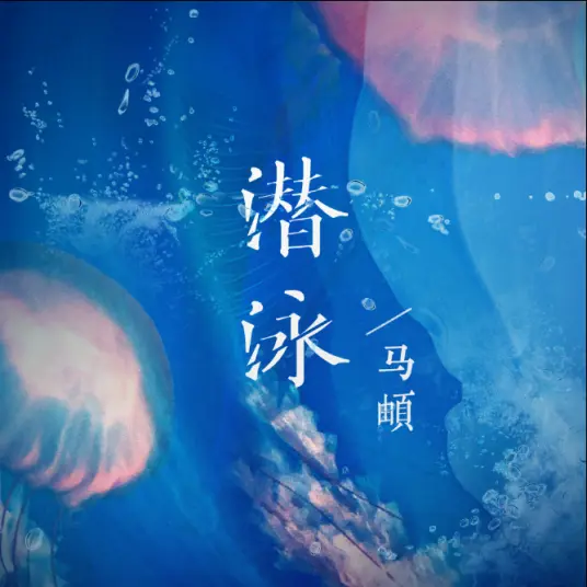 潜泳 - 白熊音乐