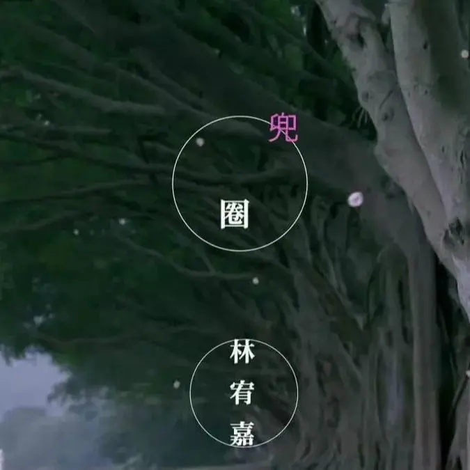 兜圈 - 白熊音乐