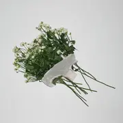 生きてたんだよな - 趣弹音乐