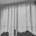 我说我当不了县长 - 桃子鱼仔ukulele