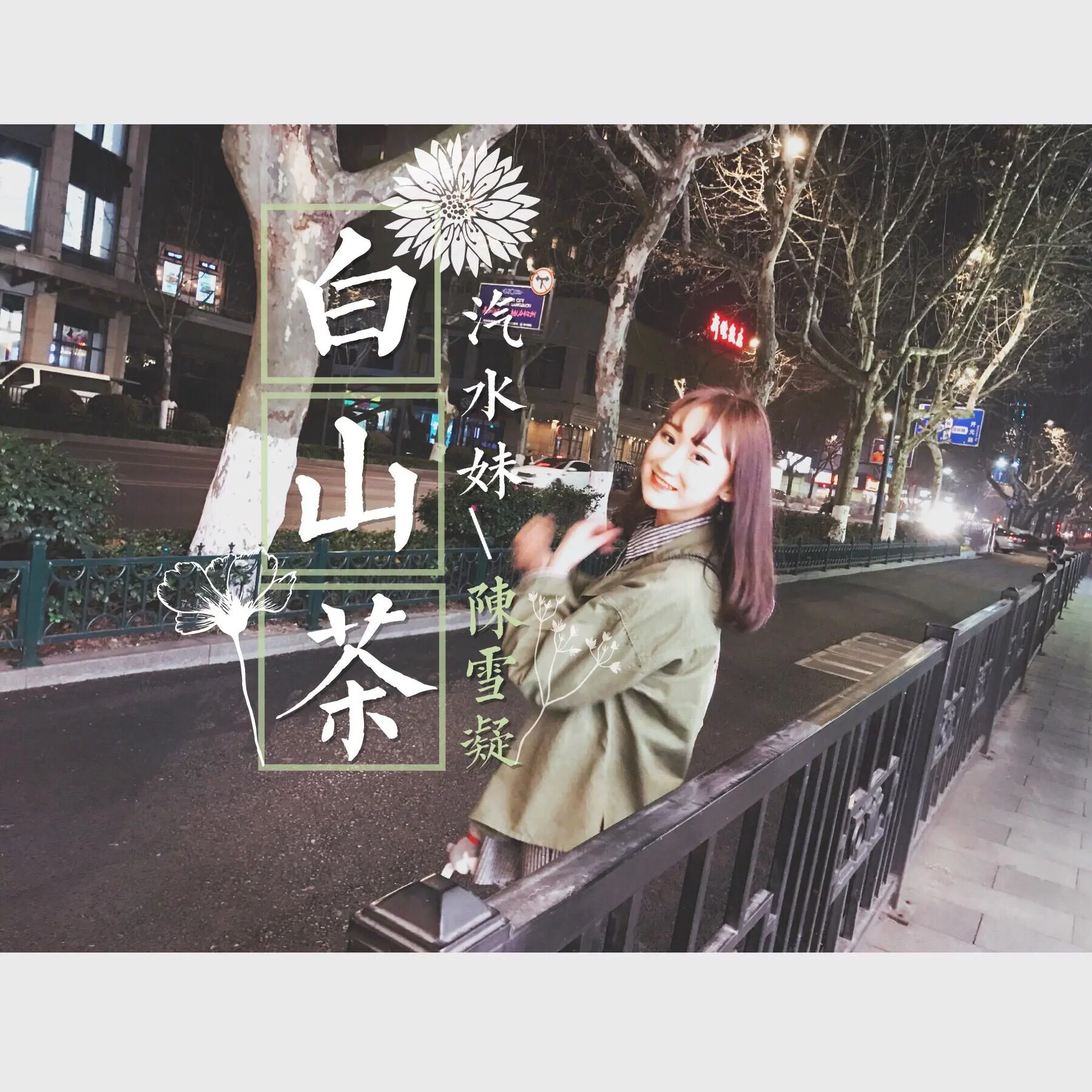 白山茶 - 白熊音乐
