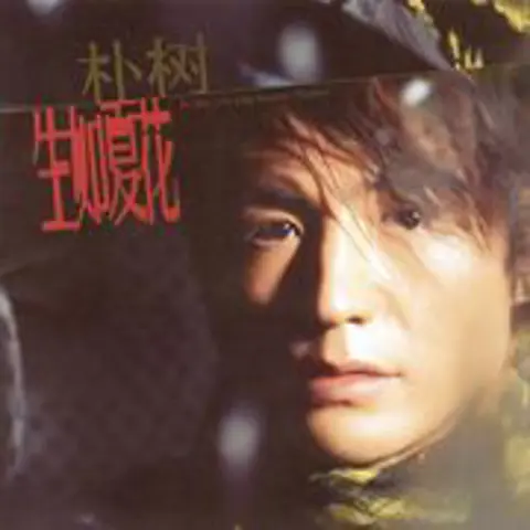 生如夏花 - 趣弹音乐