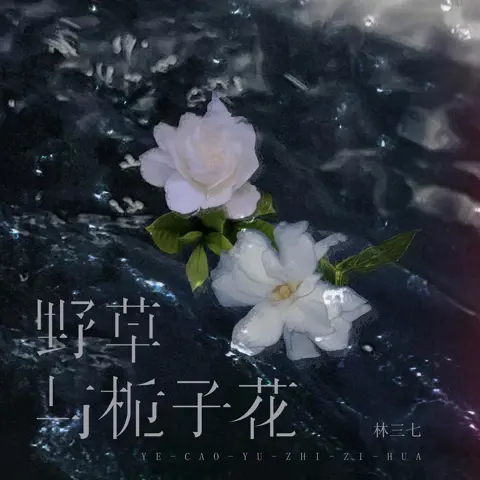 野草与栀子花 - 白熊音乐