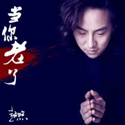 当你老了 - 趣弹音乐