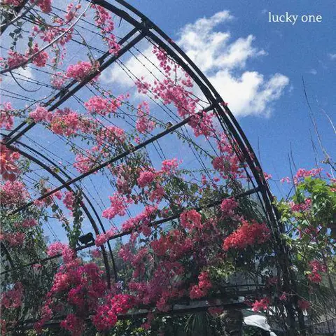 lucky one - 桃子鱼仔ukulele