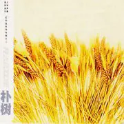 那些花儿 - 趣弹音乐