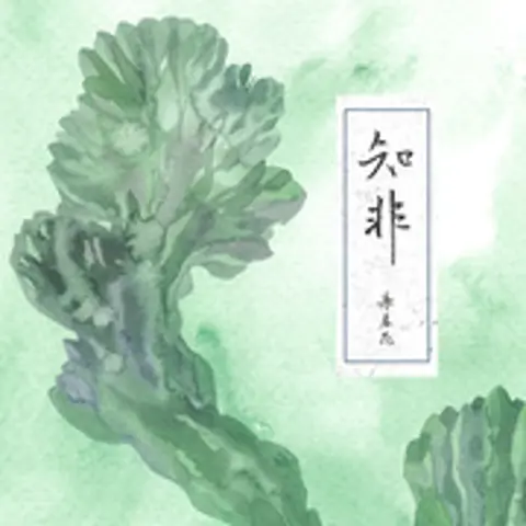 妄为 - 趣弹音乐
