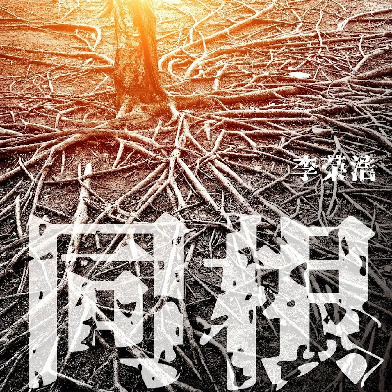 同根 - 白熊音乐