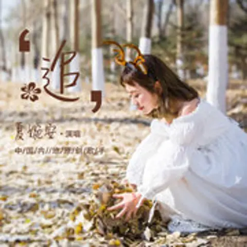 追 - 趣弹音乐