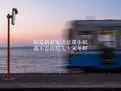 我不是你的宋冬野 - 桃子鱼仔ukulele