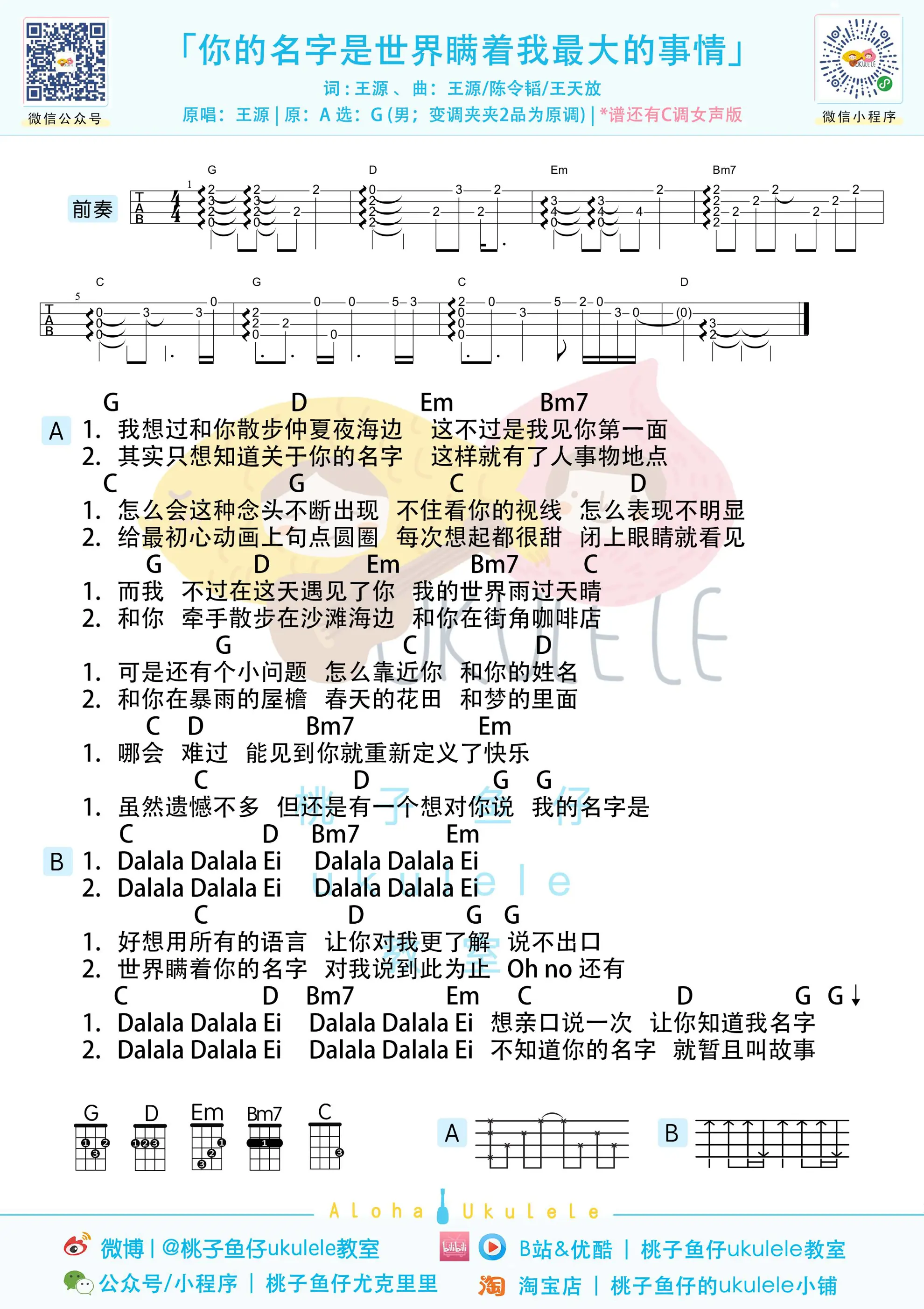 你的名字是世界瞒着我最大的事情 男.jpg